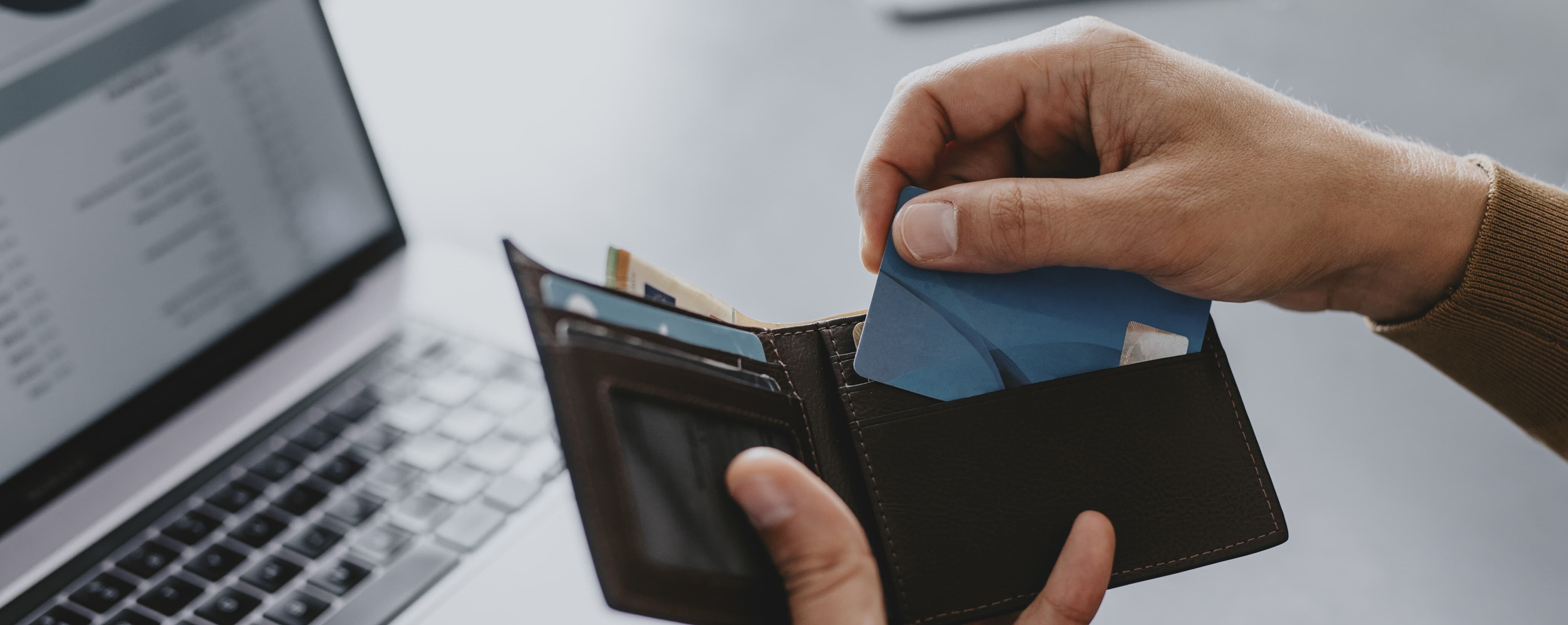 Netspend. Searchlight Capital