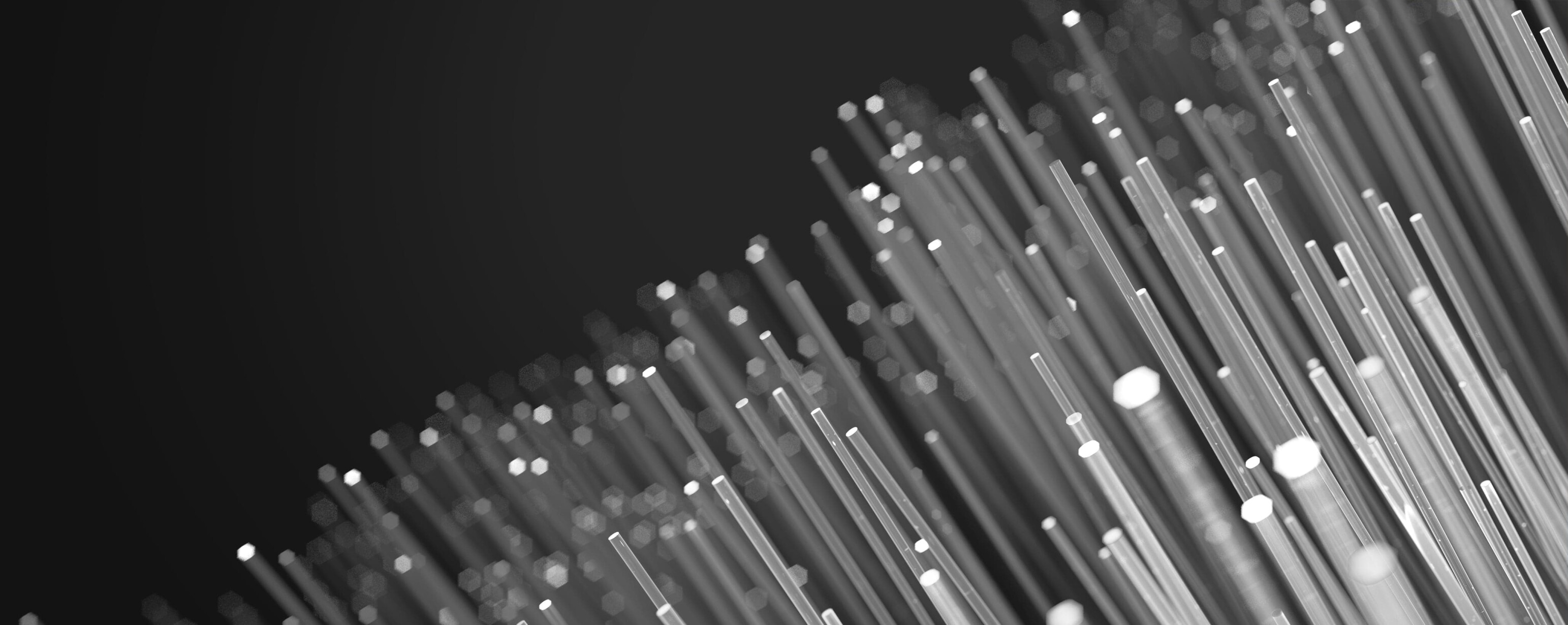 Electric Lightwave. Searchlight Capital