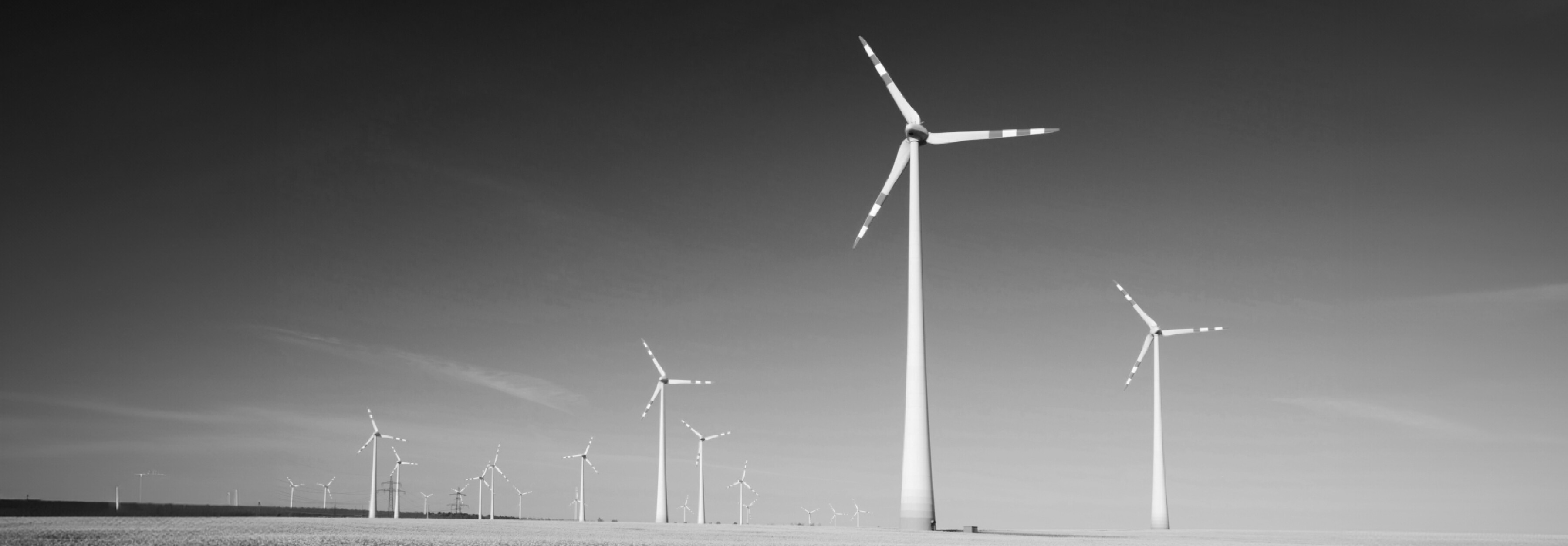 M Group Searchlight Capital