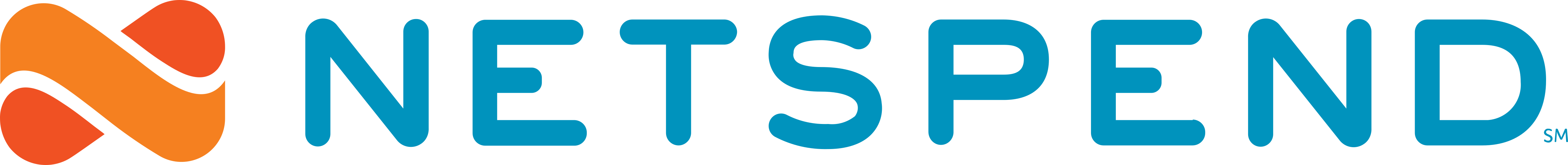 Go to Netspend Portfolio Page